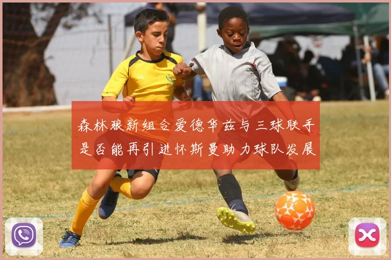 森林狼新组合爱德华兹与三球联手是否能再引进怀斯曼助力球队发展